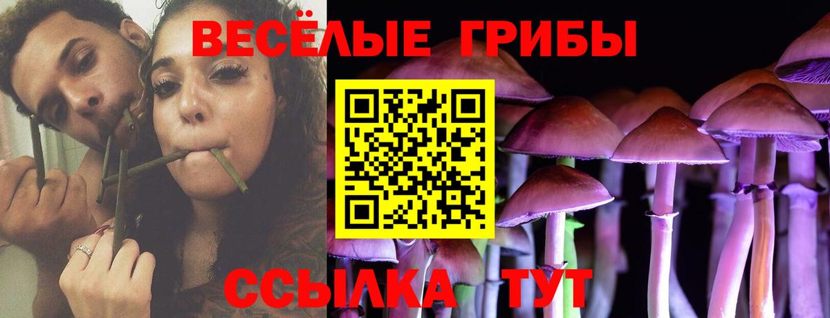 Псилоцибиновые грибы мицелий Сосновый Бор