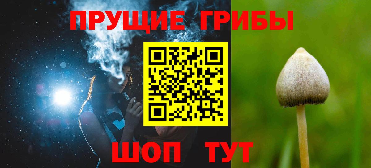 Сосновый Бор  где найти   Вход с VPN  Галлюциногенные грибы Magic Shrooms 